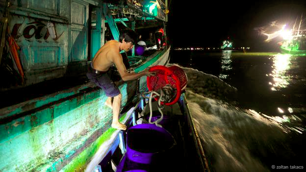 สารคดีจับงูทะเลในอ่าวไทย