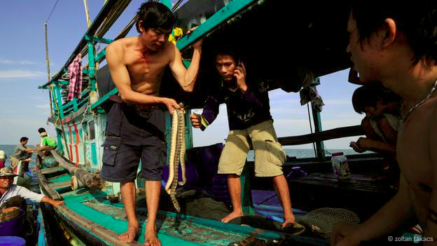 สารคดีจับงูทะเลในอ่าวไทย