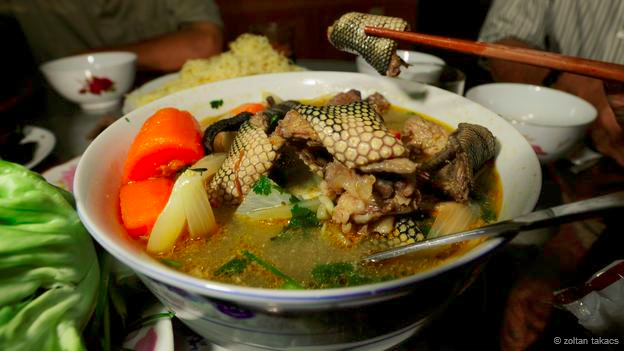 สารคดีจับงูทะเลในอ่าวไทย