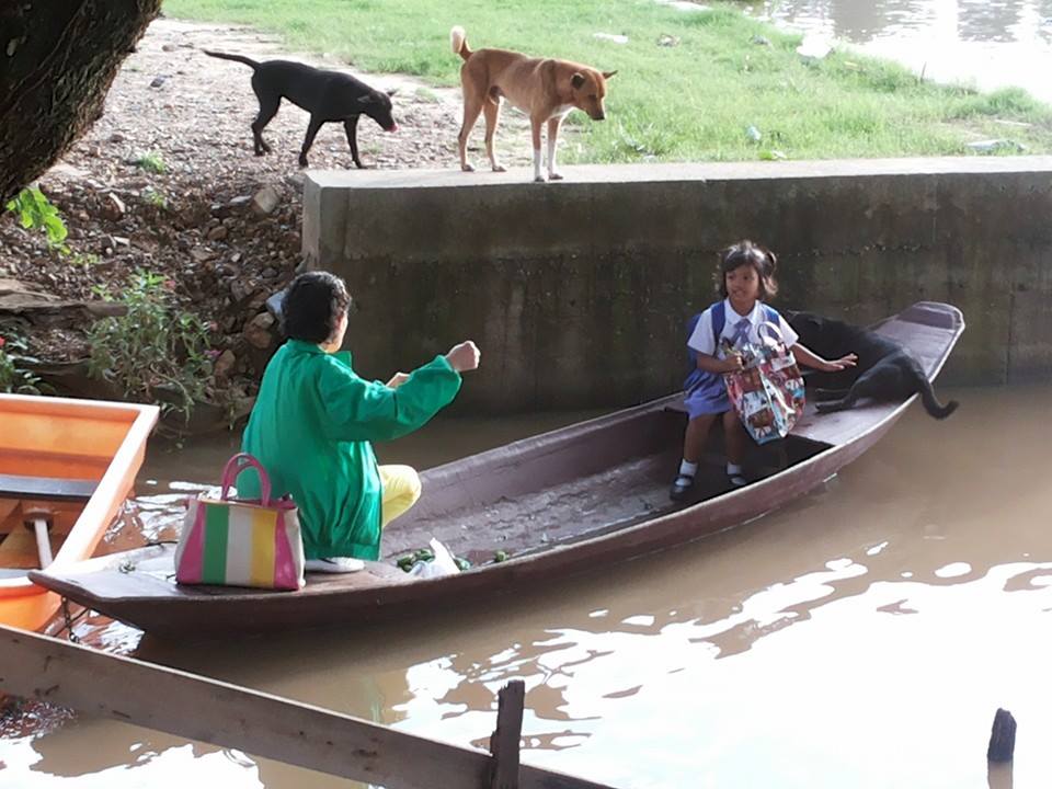 ภาพประทับใจ คุณยายพายเรือไปรับหลาน ให้น้องหมาอาศัยข้ามฝั่งด้วย