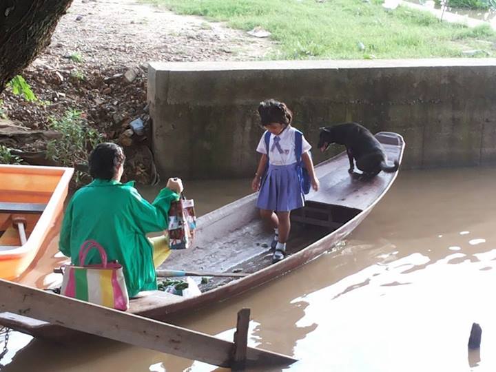ภาพประทับใจ คุณยายพายเรือไปรับหลาน ให้น้องหมาอาศัยข้ามฝั่งด้วย