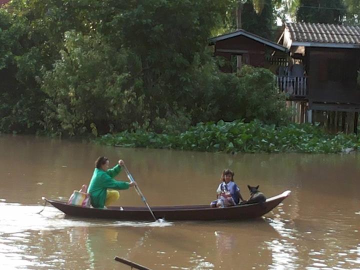 ภาพประทับใจ คุณยายพายเรือไปรับหลาน ให้น้องหมาอาศัยข้ามฝั่งด้วย