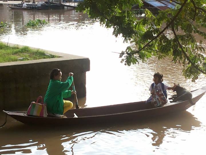 ภาพประทับใจ คุณยายพายเรือไปรับหลาน ให้น้องหมาอาศัยข้ามฝั่งด้วย
