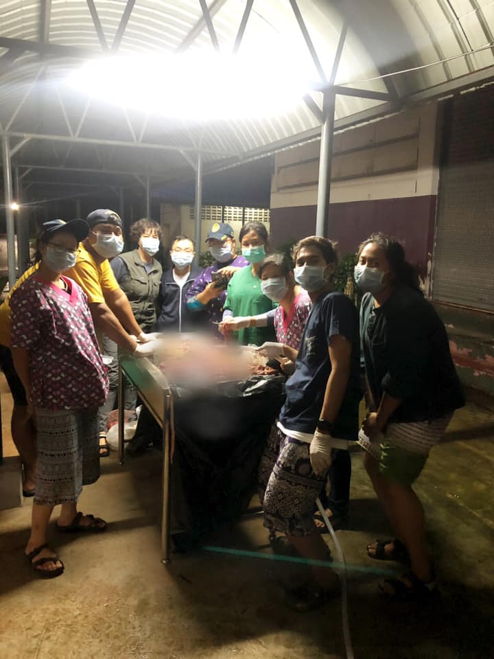 พะยูนมาเรียม