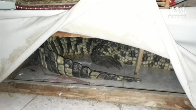 เหล็กไหล