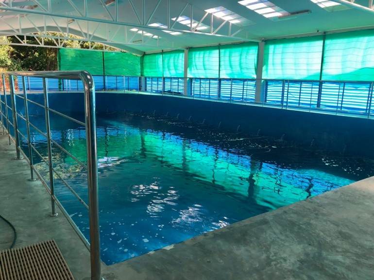 พะยูนมาเรียม