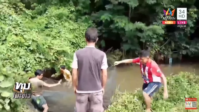 ปลาช่อนแอมะซอน