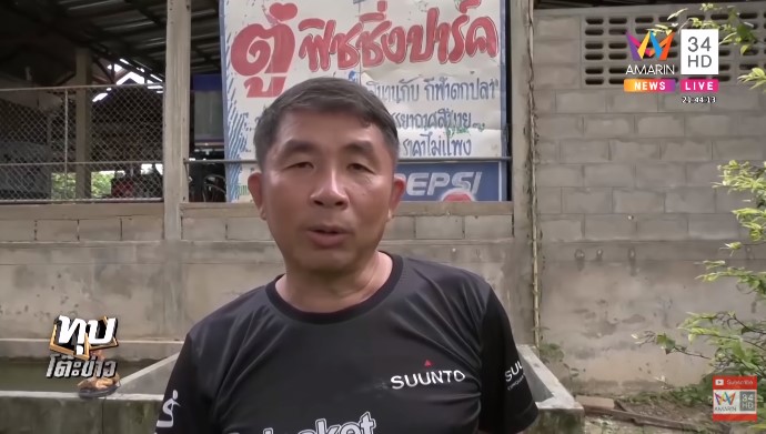 ปลาช่อนแอมะซอน