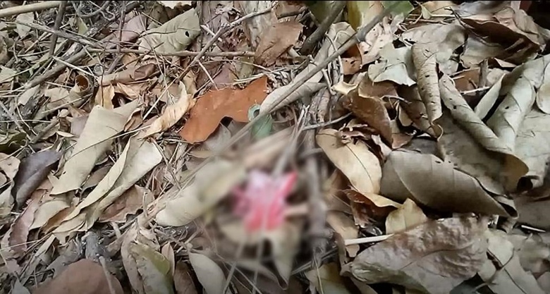 จุดทิ้งถุงยางเขาพระตำหนัก