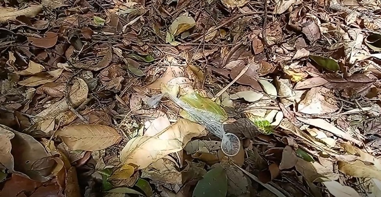 จุดทิ้งถุงยางเขาพระตำหนัก