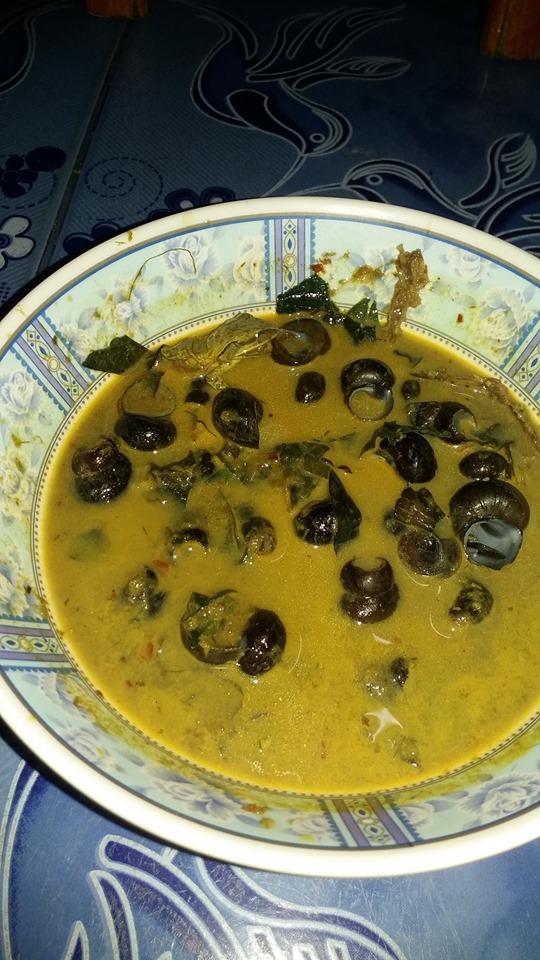 เจอเขียดตะปาดในถุงแกง