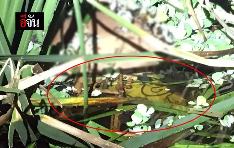 ฆ่าเปลือย