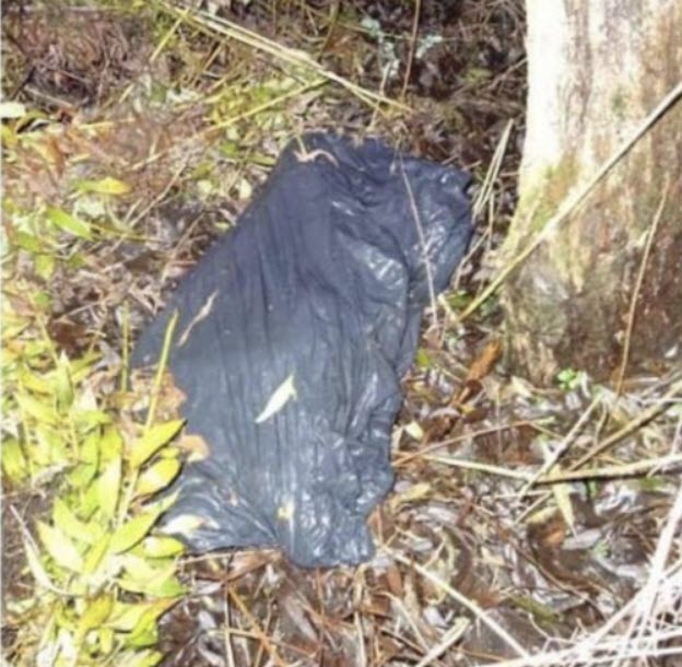 ฆ่าข่มขืนเด็กชาย