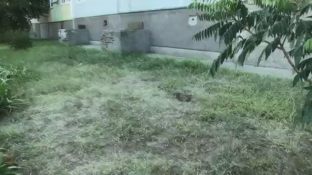 เด็กกระโดดตึกฆ่าตัวตาย