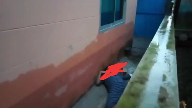 ผัวฆ่าเมีย