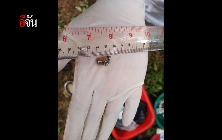 ช้างป่าเขาอ่างฤาไน ถูกยิงตาย