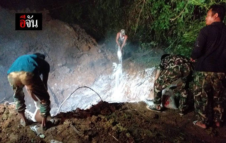 ช้างป่าเขาอ่างฤาไน ถูกยิงตาย