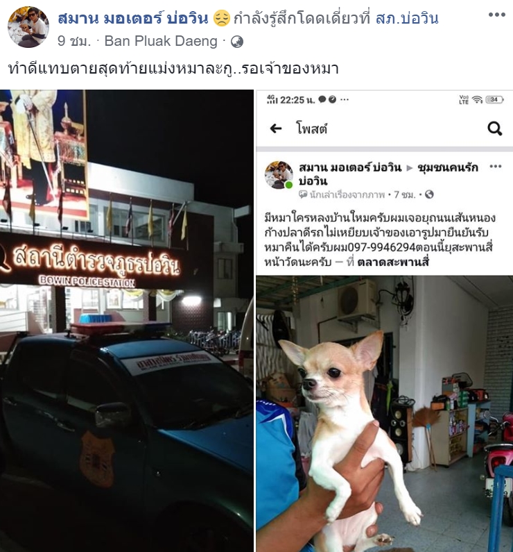 ผัวเมียในคลิปขโมยหมาชี้แจง