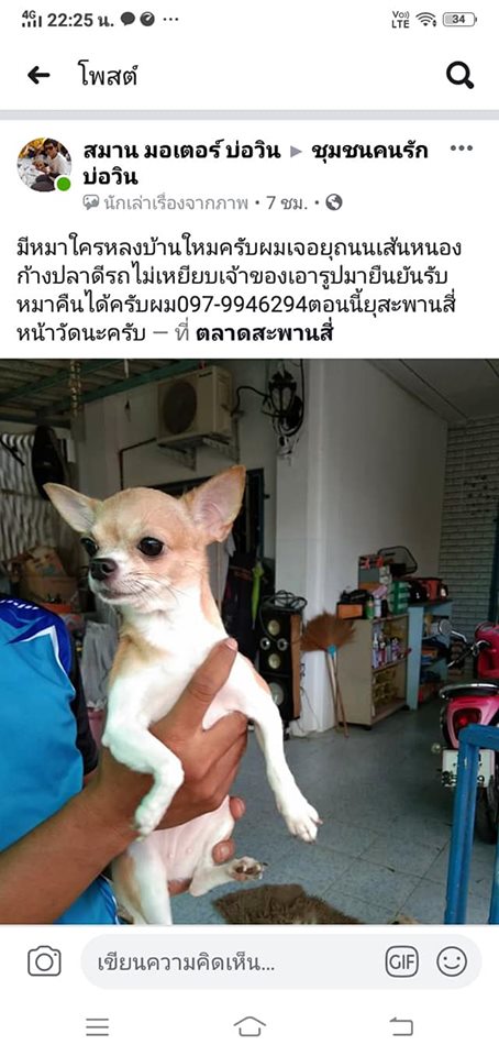 ผัวเมียในคลิปขโมยหมาชี้แจง