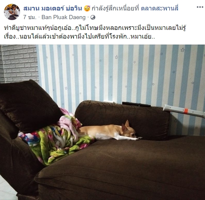 ผัวเมียในคลิปขโมยหมาชี้แจง