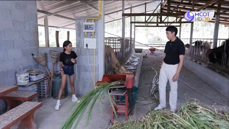 น้องเนสตี้ สไปร์ทซี่ 