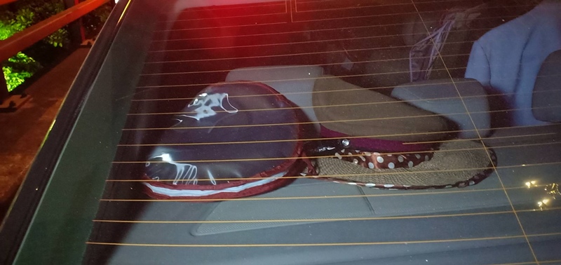 ตำรวจกร่างยิงปืนขึ้นฟ้า