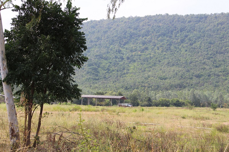 ที่ดินปารีณา