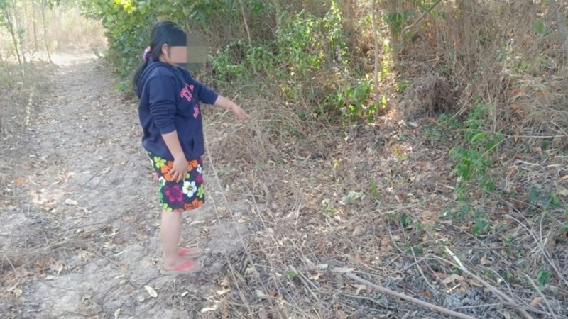 น้าข่มขืนหลาน