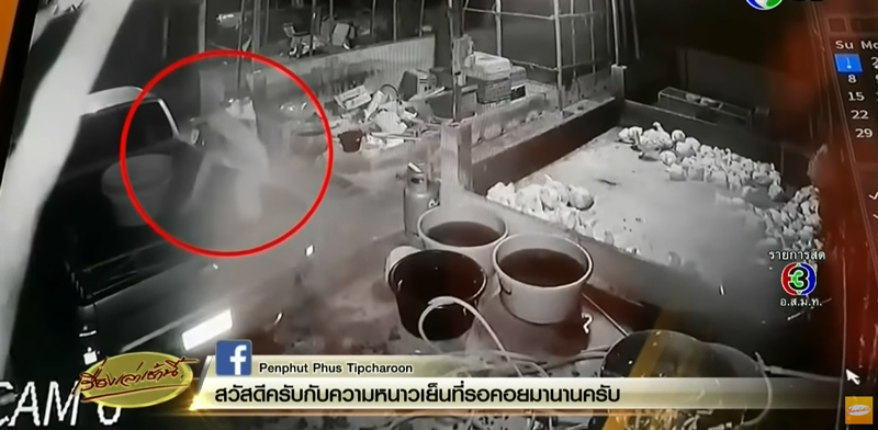 เผาทั้งเป็น