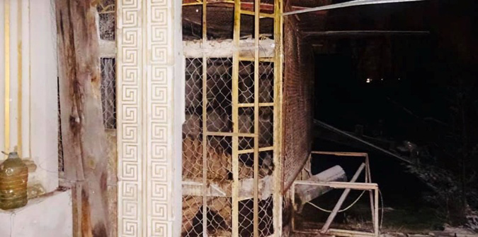 เสือถูกทิ้งในบ้านร้าง