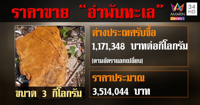 อ้วกวาฬ หรือ อำพันทะเล