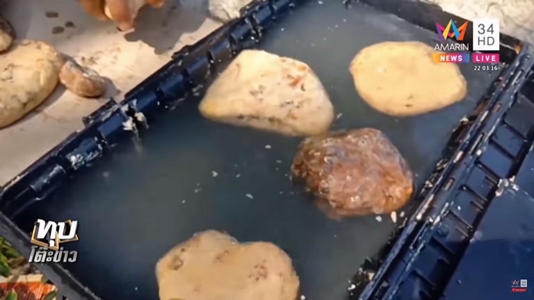 อ้วกวาฬ หรือ อำพันทะเล