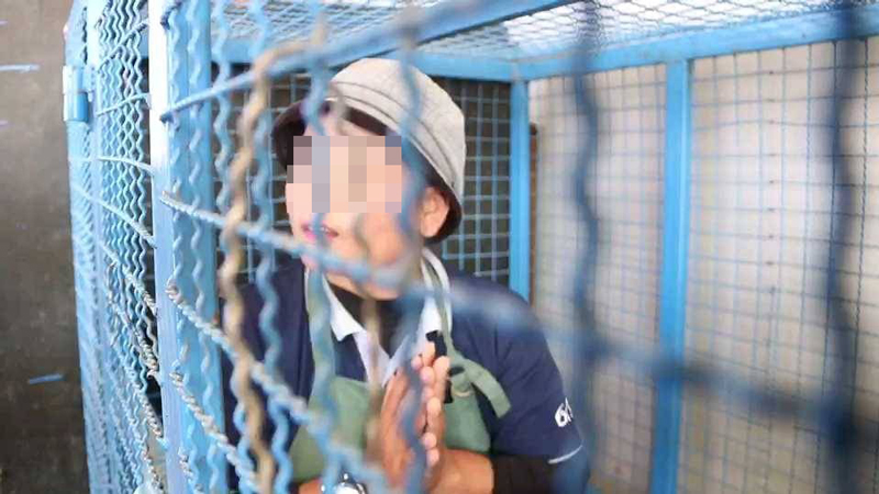 แฉนายจ้างฝรั่งจับขับกรงหมา