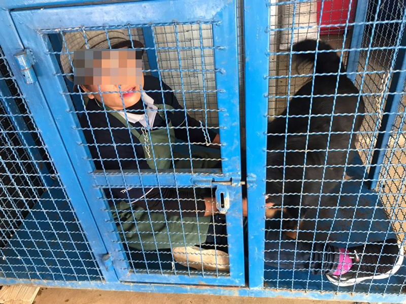 แฉนายจ้างฝรั่งจับขับกรงหมา