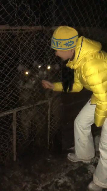 เสือถูกทิ้งในบ้านร้าง