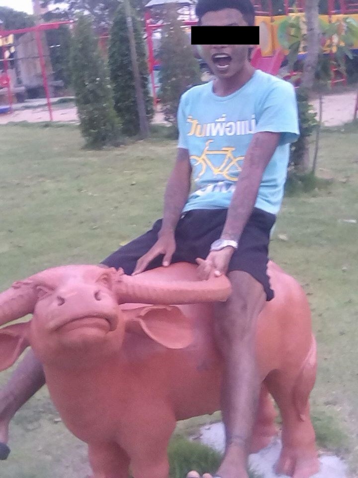 หนุ่ย หน้าลาย