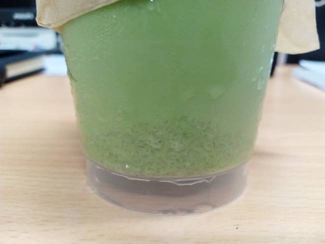 คาเฟ่อเมซอน