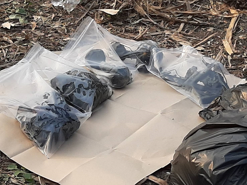 ไอซ์ หีบเหล็ก