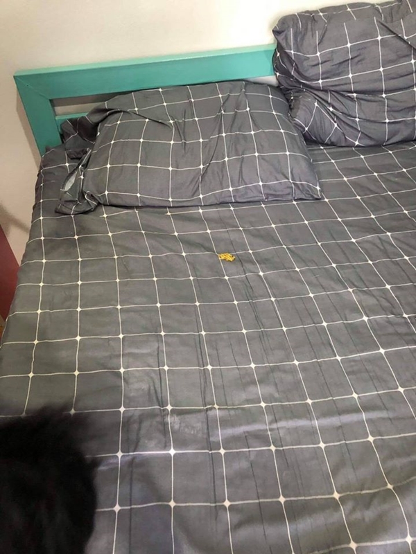 นศ. สาวประเภทสองฆ่าตัวตาย