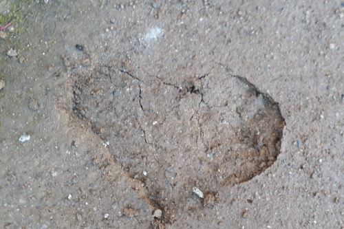 มาชูปิกชู