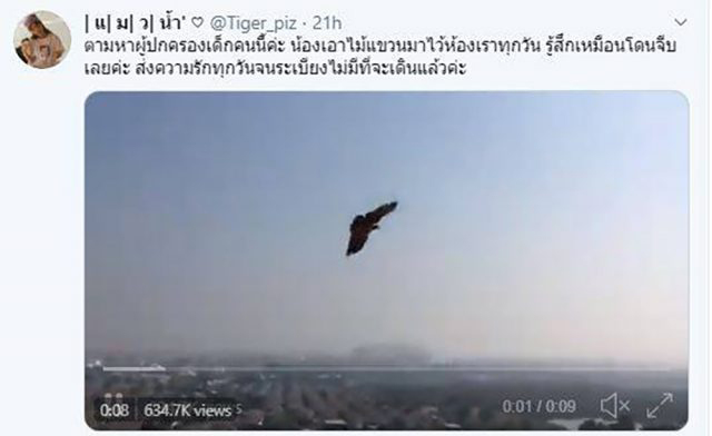 เหยี่ยวคาบไม้แขวนเสื้อแลกเนื้อไก่