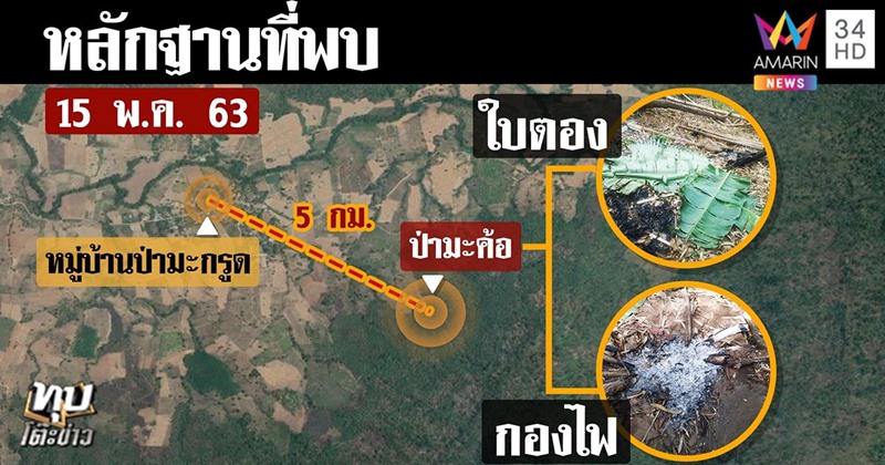 ข่าวคนหลงป่า