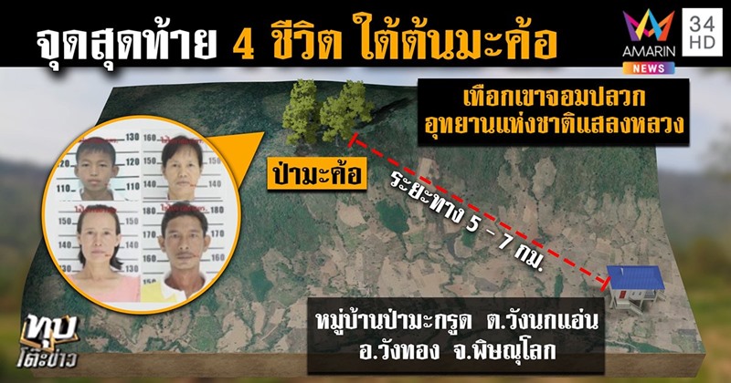 ข่าวคนหลงป่า