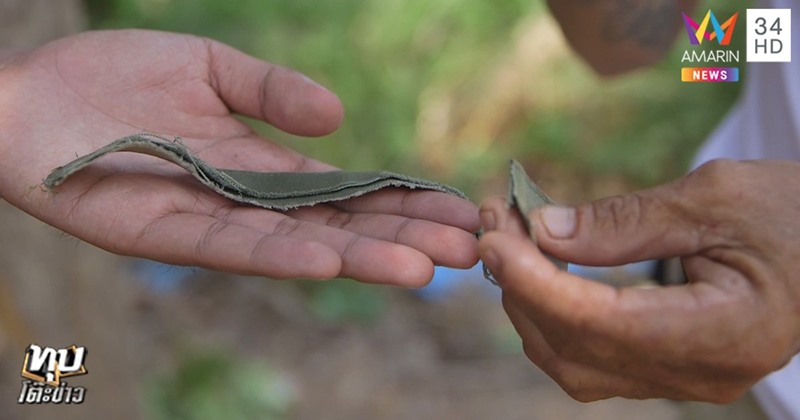 ข่าวคนหลงป่า
