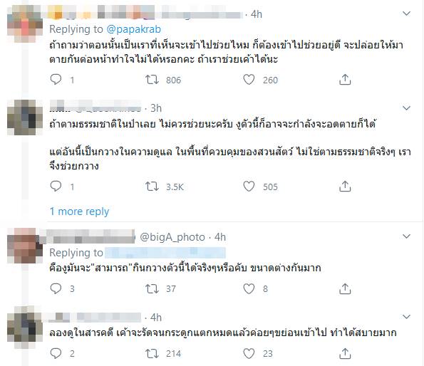 งูรัดกวาง