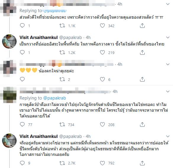 งูรัดกวาง
