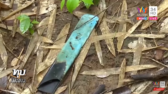 คดีน้องชมพู่