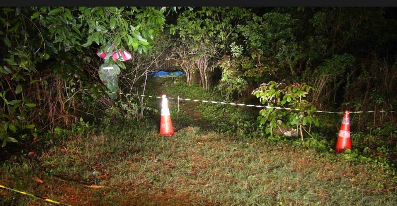 ฆ่าเผาศพ