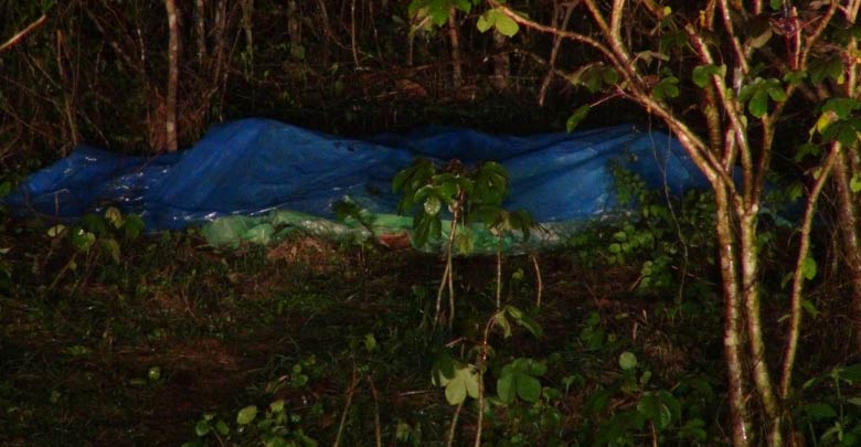 ฆ่าเผาศพ