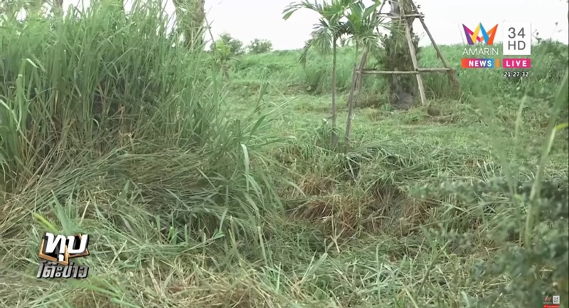 คดีพริตตี้ออย